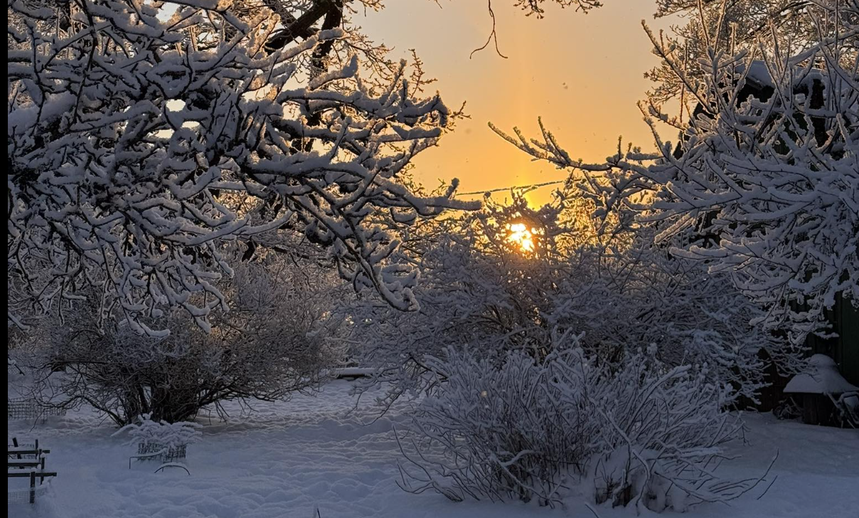 Palju üks AI loodud pilt tegelikult maksab